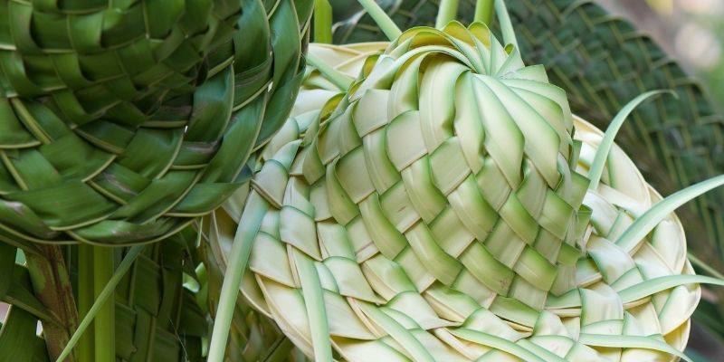 Coconut Leaf Hat Making Tutorial