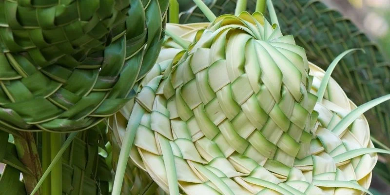 koi-resort-residence-da-nang-coconut-leaf-hat-making-tutorial
